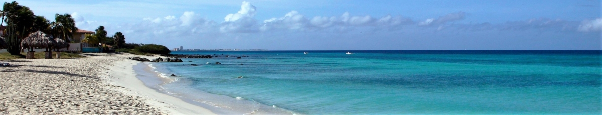 Aruba Beach Panorama (Public Domain / Pixabay)  Public Domain 
Informazioni sulla licenza disponibili sotto 'Prova delle fonti di immagine'